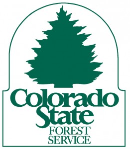 CO-State-Forest-Service-261x300