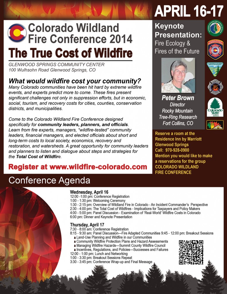 2014_Conference_Flyer