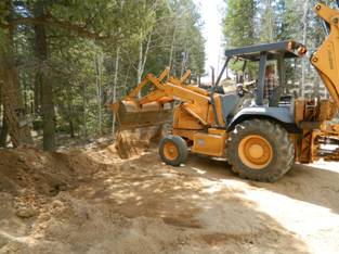 What is the Bailey Healthy Forests Initiative